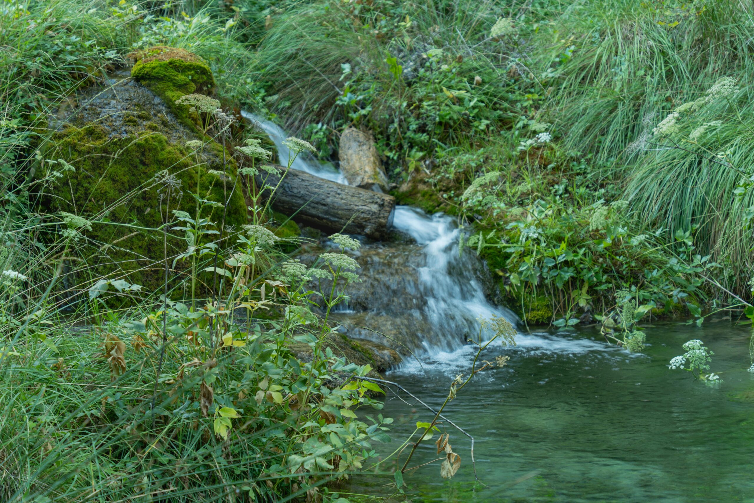 Serene stream flowing through lush green forest in Bogarra, Castilla-La Mancha, Spain.
