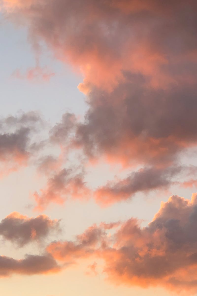 From below picturesque pink fluffy clouds floating on blue sky in early evening
